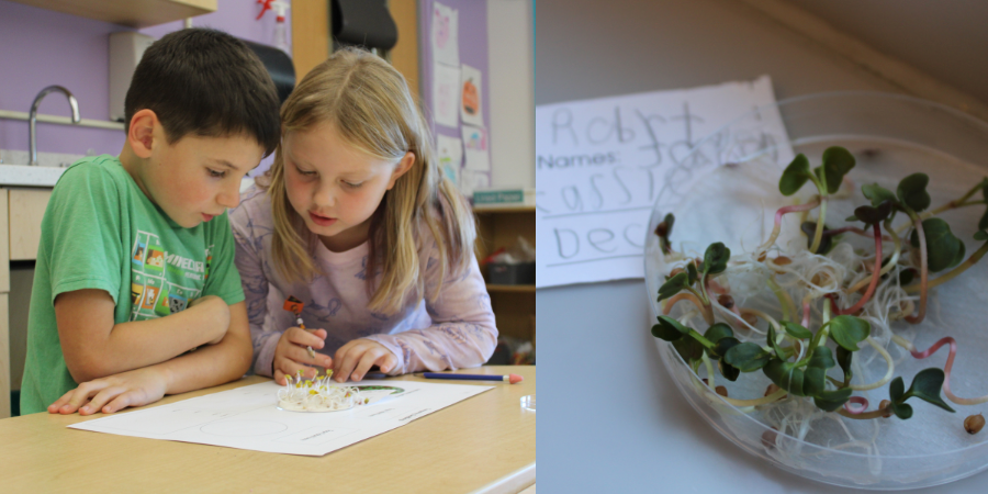 students work together on a science project in a classroom