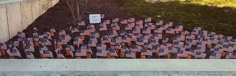 Flags in garden