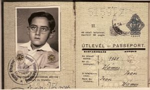 historical document shows the passport of a young boy