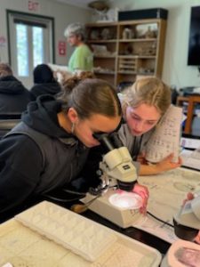 two young teens use a microscope