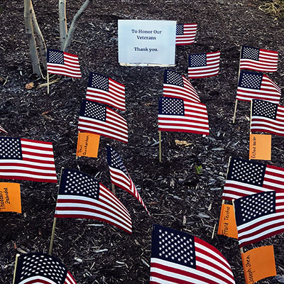 flags and sign saying To HOnor OUr Veterans. Thank you. in the garden
